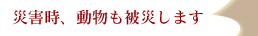 災害時、動物も被災します