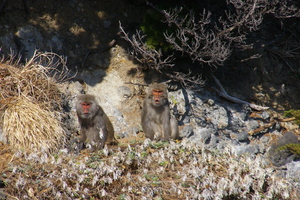 201205070008_1-300x0.jpg