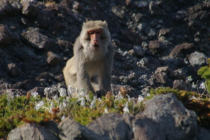 201205070008_3-300x0.jpg
