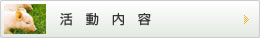 活動内容
