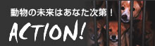 動物の未来はあなた次第！ACTION！