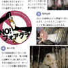理念