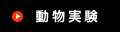 動物実験