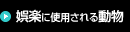 娯楽に使用される動物