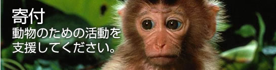 寄付