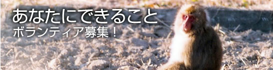 あなたにできること　ボランティア募集