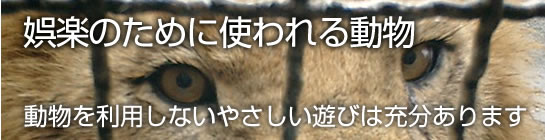 動物園水族館などの娯楽のために使われる動物たち