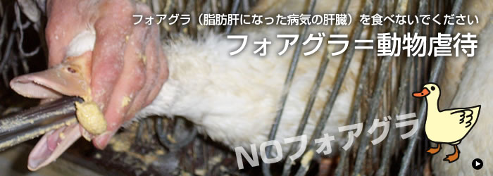 フォアグラ（脂肪肝になった病気の肝臓）を食べないでください　フォアグラ＝動物虐待