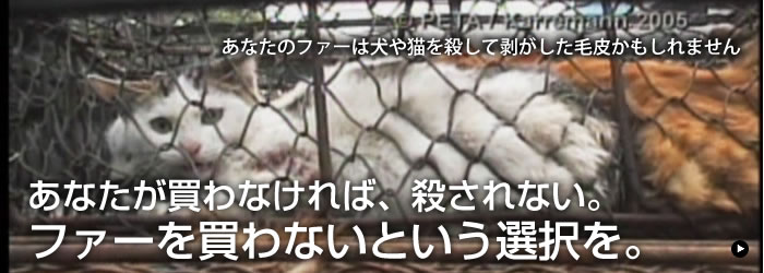 あなたのファーは犬や猫を殺して剥がした毛皮かもしれません　あなたが買わなければ、殺されない。ファーを買わないという選択を。