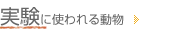 実験に使われる動物