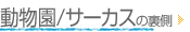 動物園/サーカスの裏側
