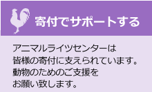 寄付でサポートする。アニマルライツセンターは皆様の寄付に支えられています。動物のためのご支援をお願い致します。